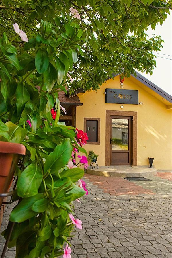Vila Chess Belgrado Esterno foto